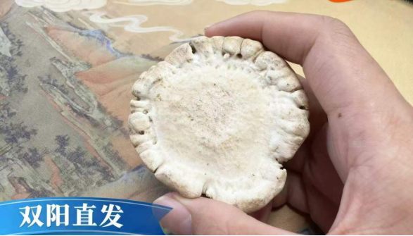 鹿茸行业的进步与市场