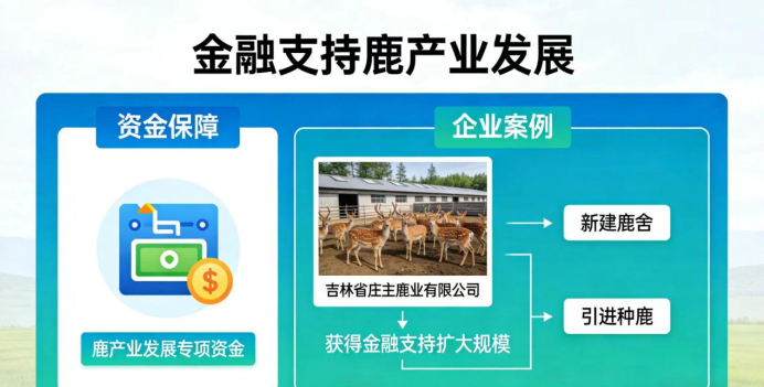 金融支持力度加大，鹿产业发展资金保障更充足